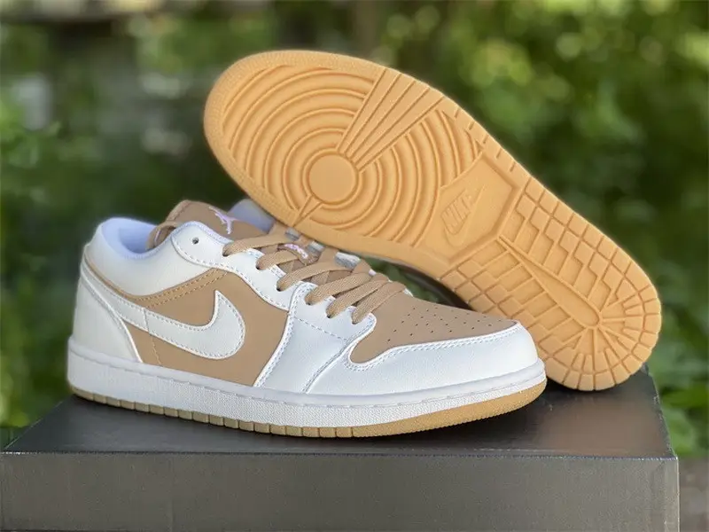 Authentic Air Jordan 1 Low DN6999-100 