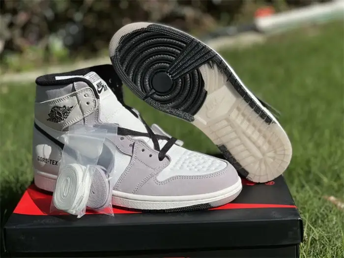 Authentic Air Jordan 1 Element Gore-Tex Light Bone GS 