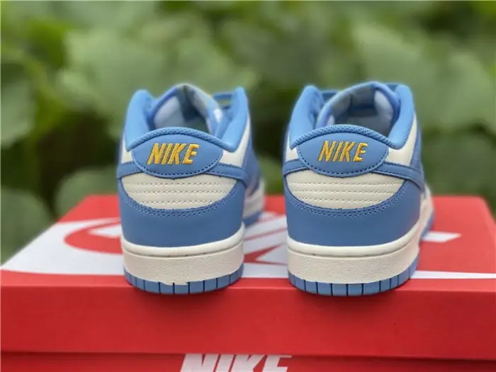 Authentic Nike Dunk Low “Coast” 