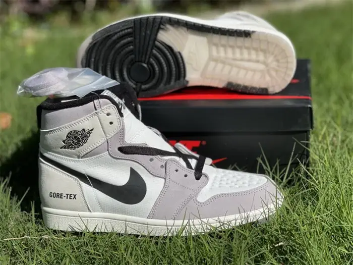Authentic Air Jordan 1 Element Gore-Tex Light Bone 