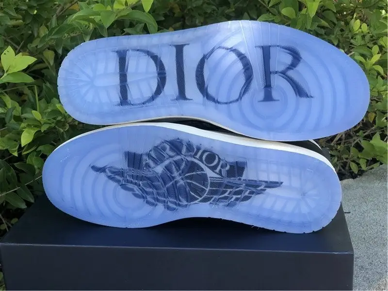 Dior x Air Jordan 1 Black 