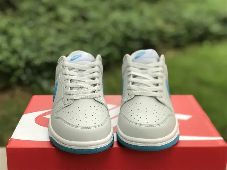 Authentic Nike Dunk Low “Light Blue” 