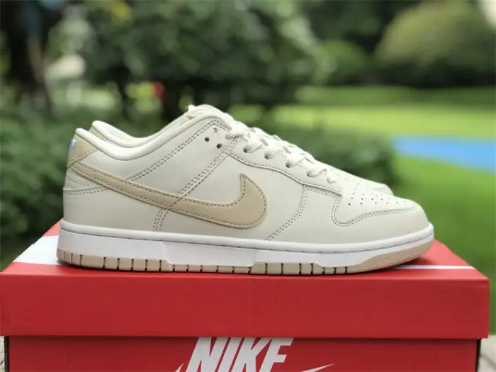 Authentic Nike Dunk Low DV0831-003 EAF2685