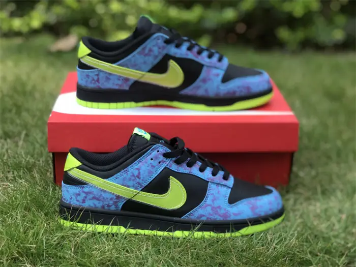 Authentic Nike Dunk Low “Acid Wash” 