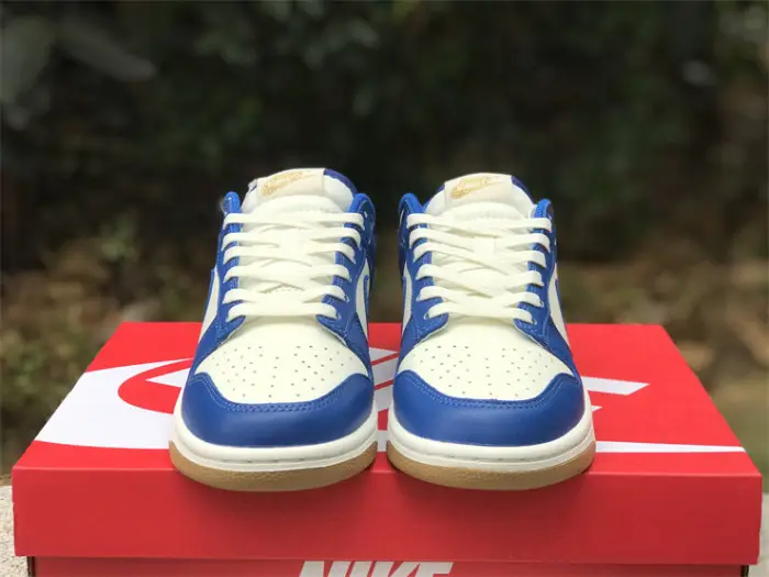 Authentic Nike SB Dunk Low FB7173-141 