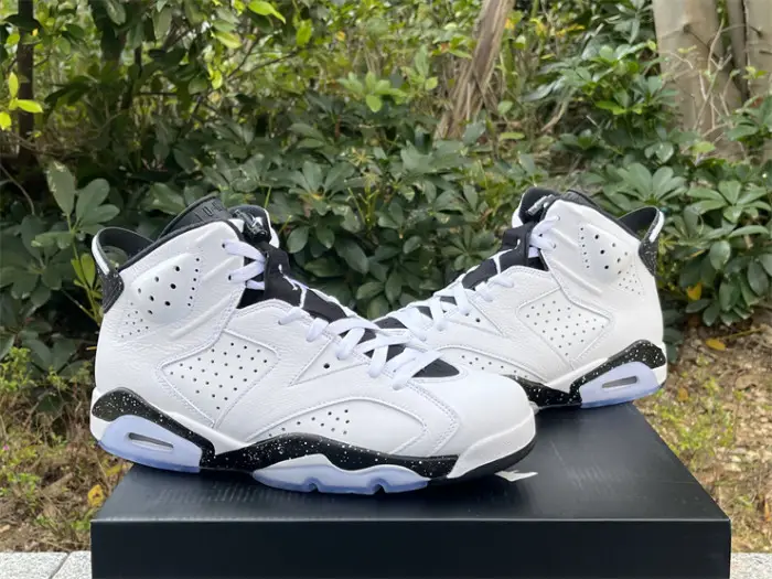 Authentic Air Jordan 6 “Reverse Oreo” FABF1219