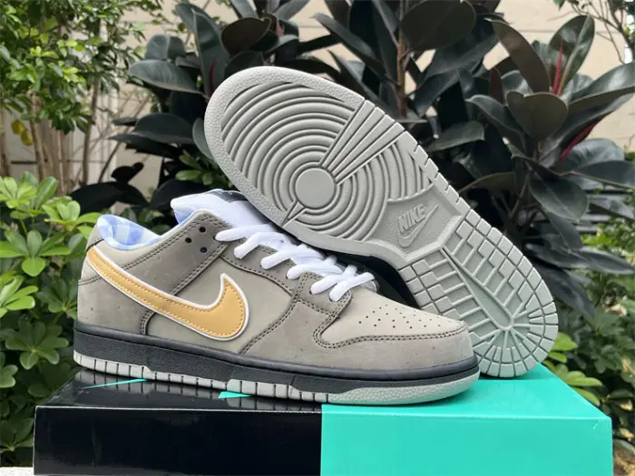 Authentic Concepts x Nike SB Dunk Low Grey DECA1990