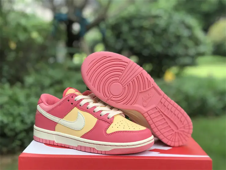 Authentic Nike Dunk Low DH9765-200 