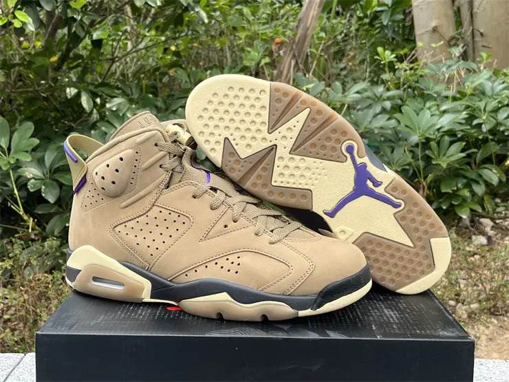 Authentic Air Jordan 6 Gore-Tex “Brown Kelp” 
