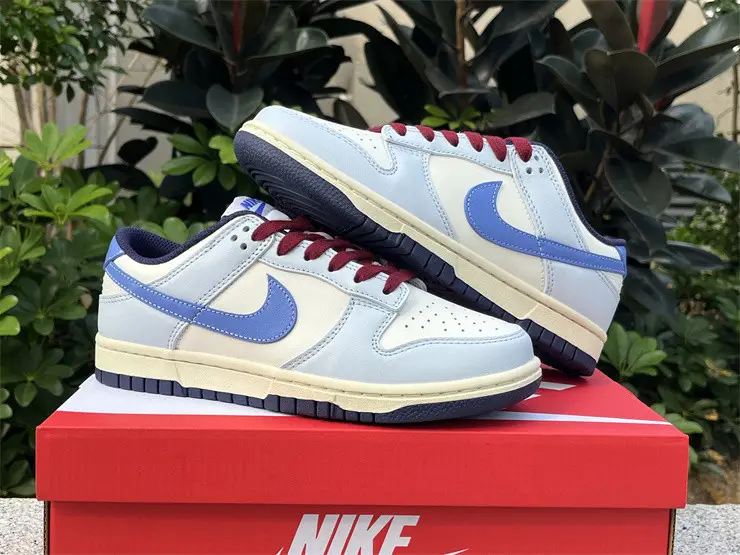 Authentic Nike Dunk Low FV8113-141 