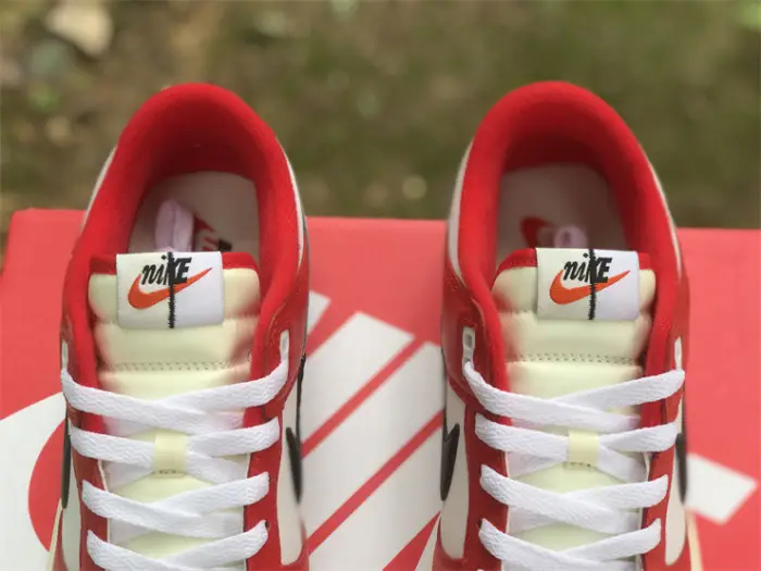 Authentic Nike Dunk Low “Chicago Split” 