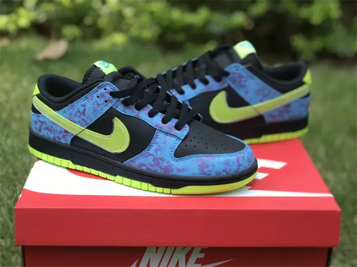 Authentic Nike Dunk Low “Acid Wash” 