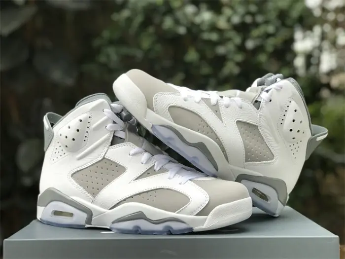 Authentic Air Jordan 6 “Cool Grey” 