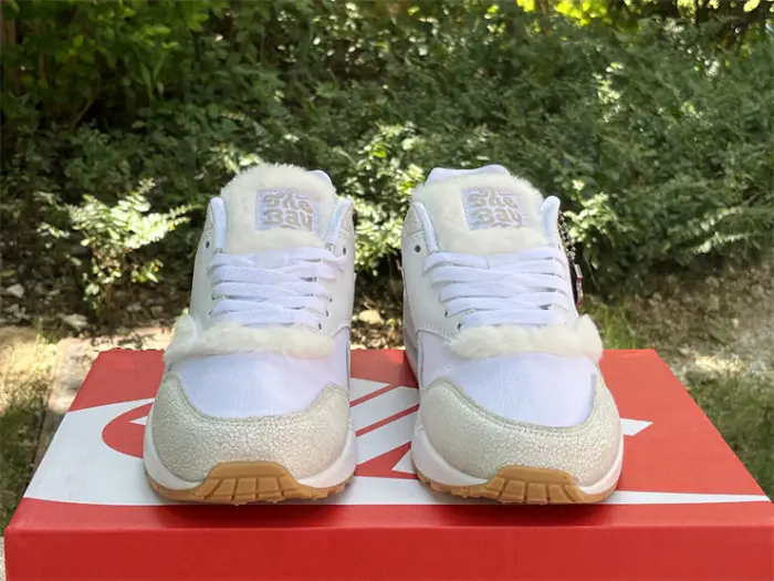 Authentic Nike Air Max 1 “The Bay” ABD1877