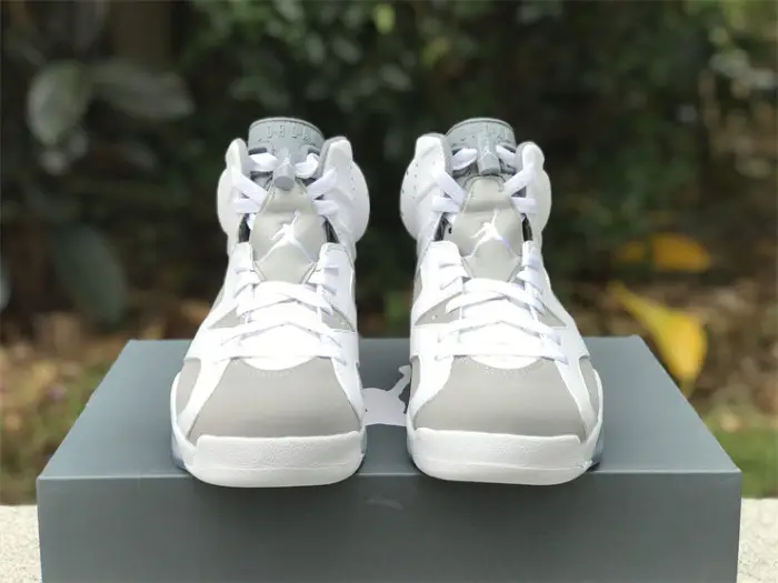 Authentic Air Jordan 6 “Cool Grey” FADCB2476