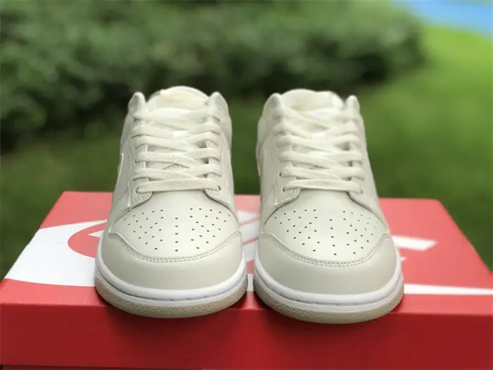 Authentic Nike Dunk Low DV0831-003 EAF2685