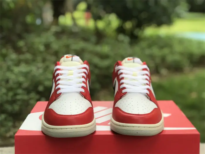Authentic Nike Dunk Low “Chicago Split” 
