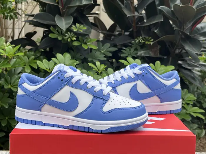 Authentic Nike Dunk Low “Polar Blue” 