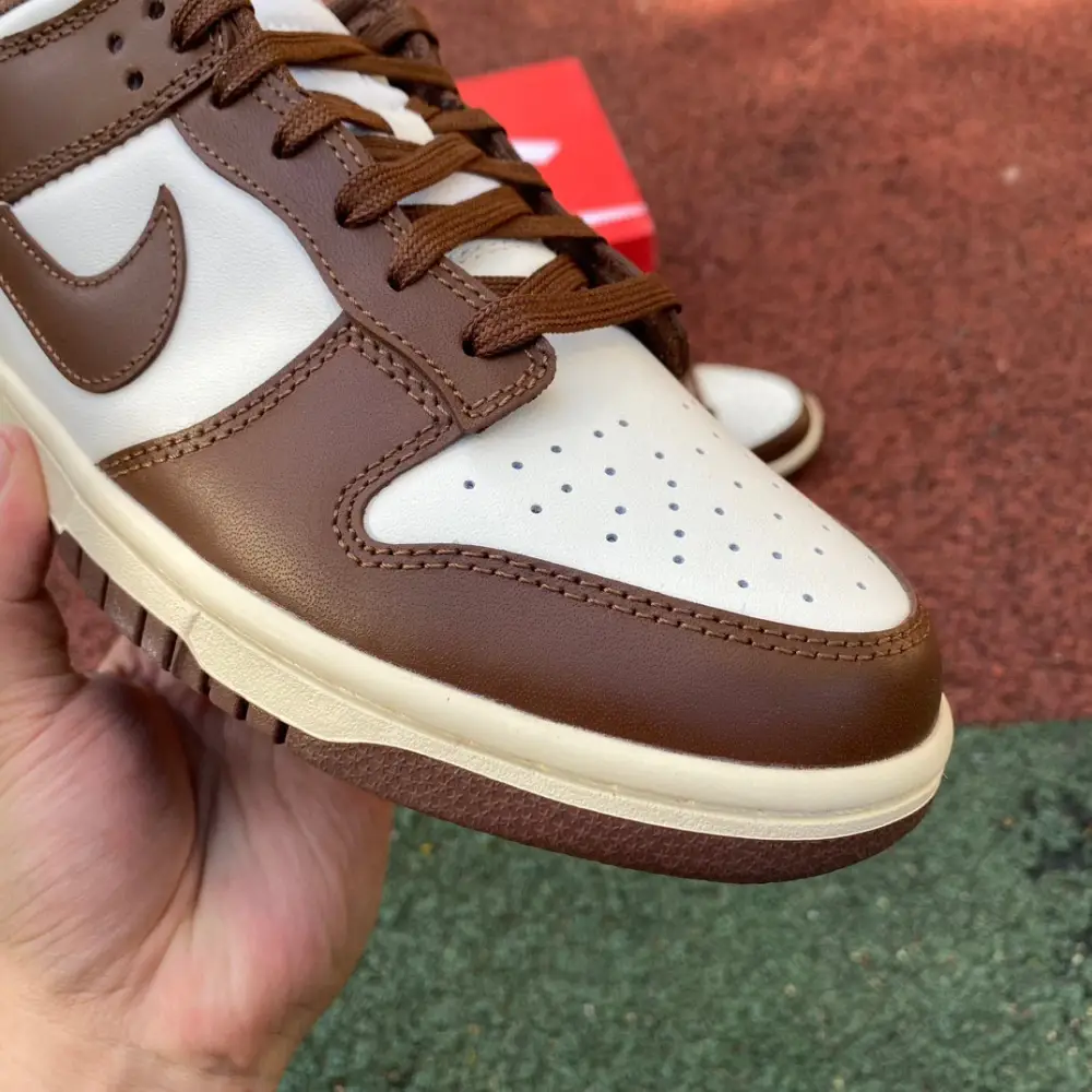 Authentic Nike Dunk Low Surfaces In Brown And Sail Women Shoes 