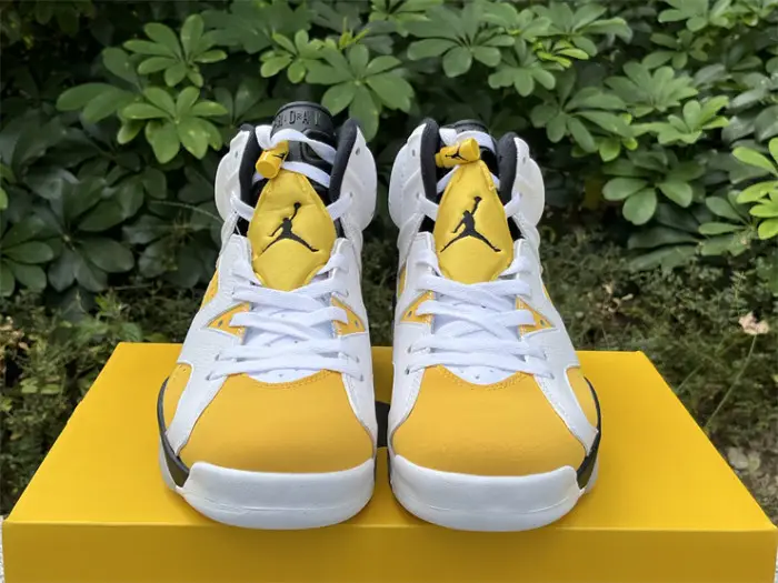 Authentic Air Jordan 6 Yellow Ochre 