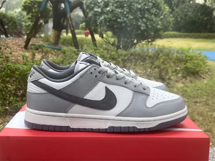 Authentic Nike Dunk Low SE Light Carbon 