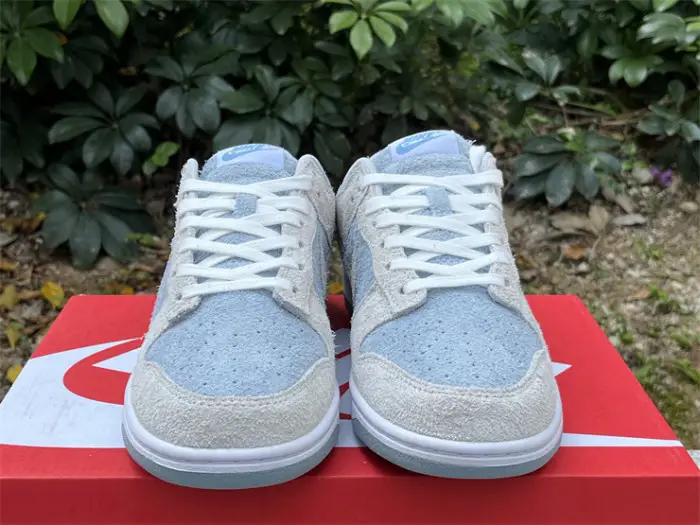 Authentic Nike Dunk Light Armory Blue FECE873