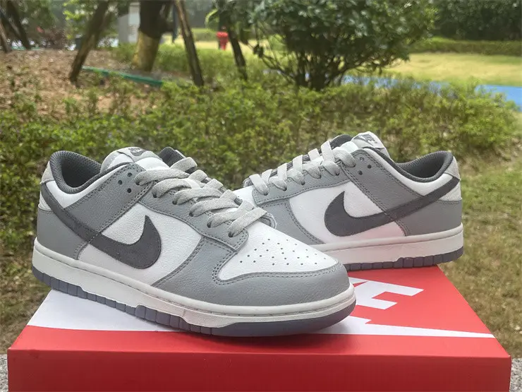 Authentic Nike Dunk Low SE Light Carbon 
