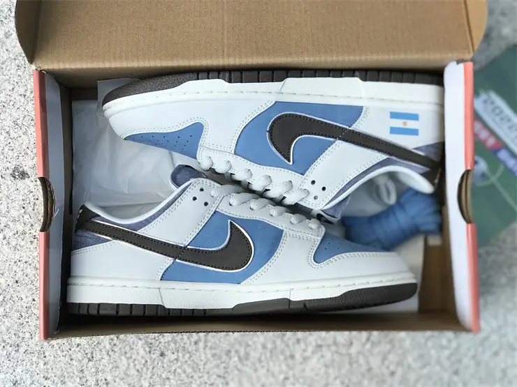 Authentic Nike Dunk Low AT2022-666 
