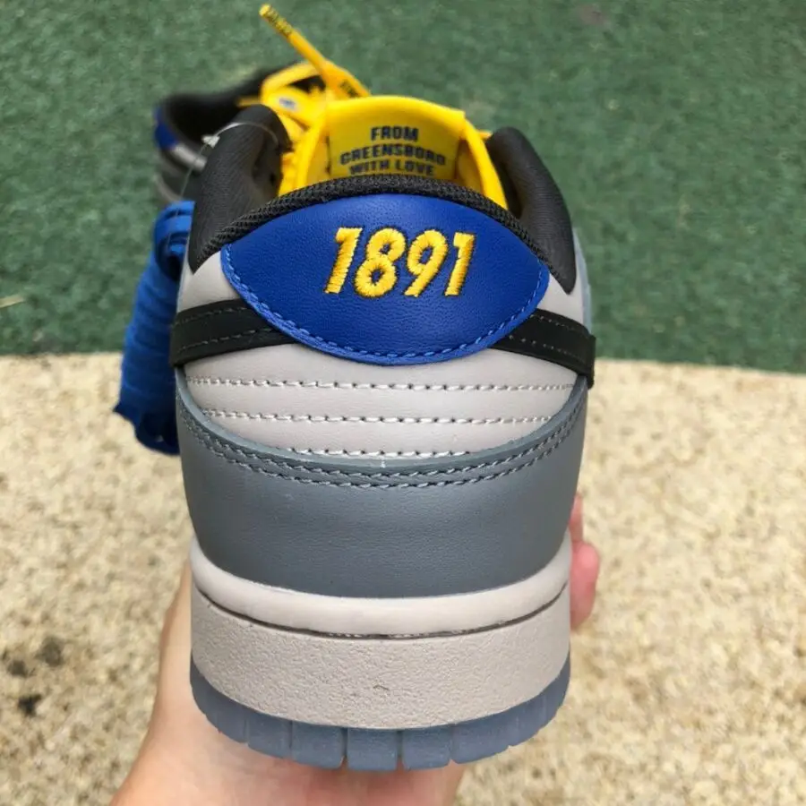 Authentic North Carolina AT x Nike SB Dunk Low Ayantee 