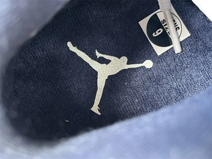 Authentic Air Jordan 6 “Olympic” 2024 