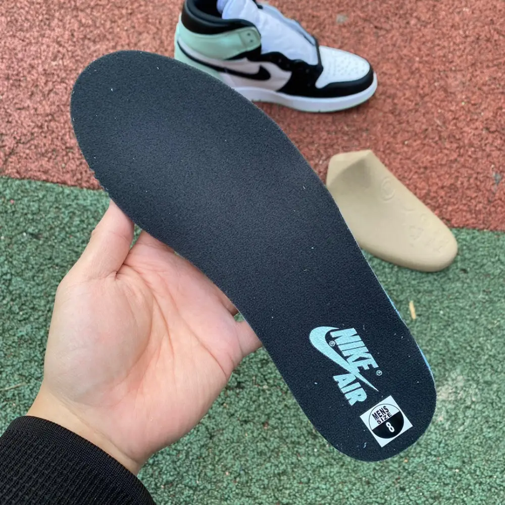 Authentic Air Jordan 1 Retro High lgloo 