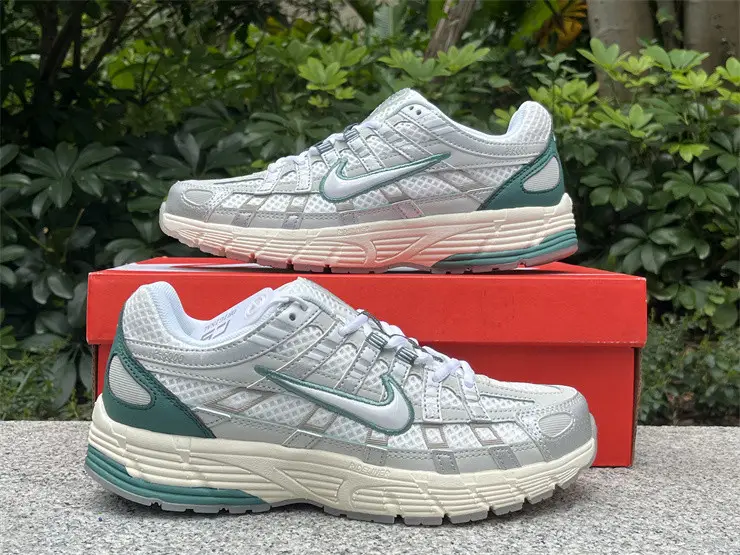 Authentic Nike P-6000 Shoes-001 