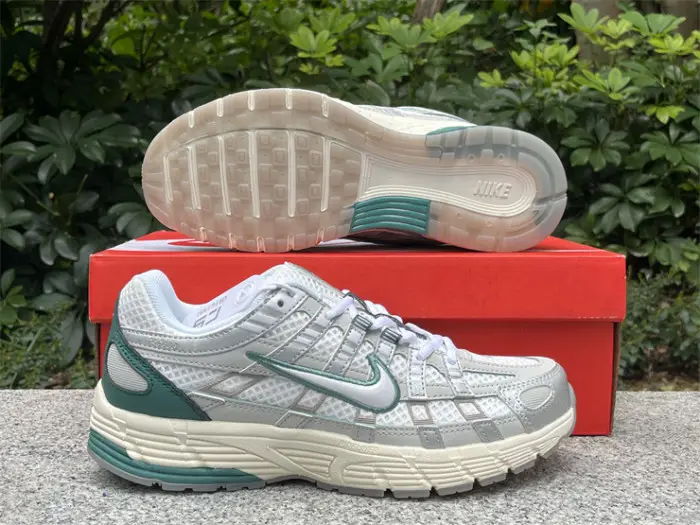Authentic Nike P-6000 Shoes-001 