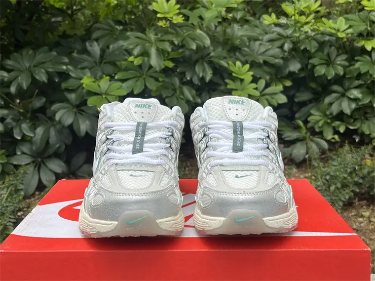 Authentic Nike P-6000 Shoes-001 