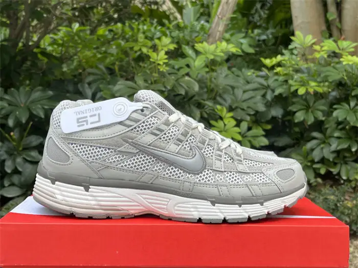 Authentic Nike P-6000 Shoes-003 FDFFC2636