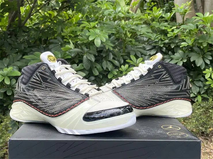 Authentic Titan x Air Jordan 23 Retro SP 10th Anniversary 