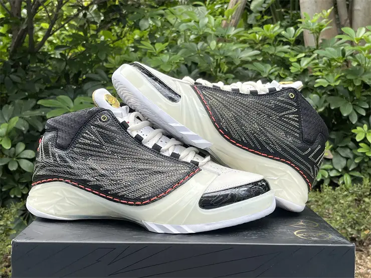 Authentic Titan x Air Jordan 23 Retro SP 10th Anniversary 