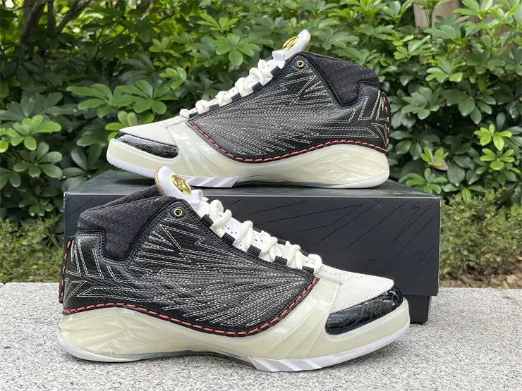 Authentic Titan x Air Jordan 23 Retro SP 10th Anniversary 