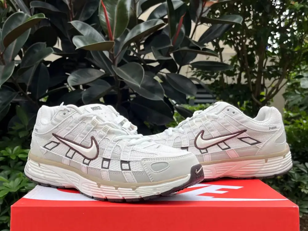 Authentic Nike P-6000 Shoes-009 