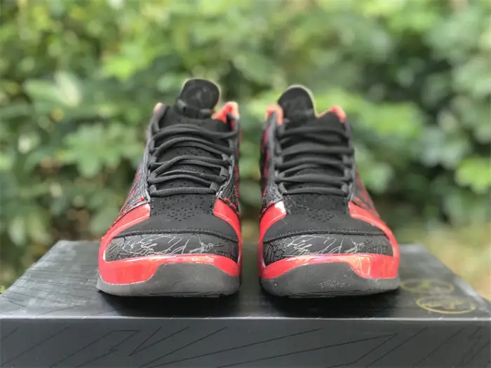 Authentic Air Jordan 23 Premier Finale 