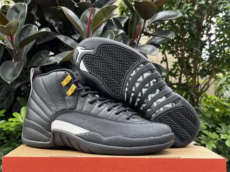Authentic Air Jordan 12 “The Master” 