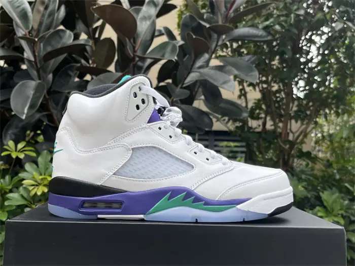 Authentic Air Jordan 5 Retro Grape 2025 