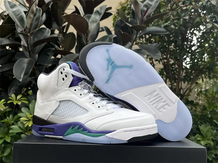 Authentic Air Jordan 5 Retro Grape 2025 
