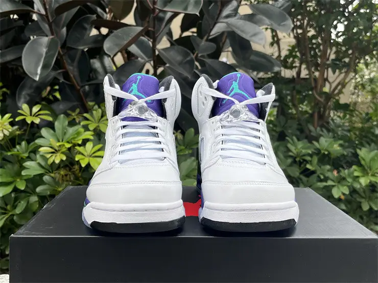 Authentic Air Jordan 5 Retro Grape 2025 