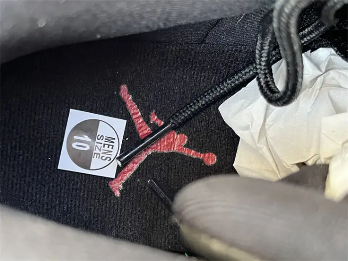 Authentic Air Jordan 12 “Flu Game” 2025 