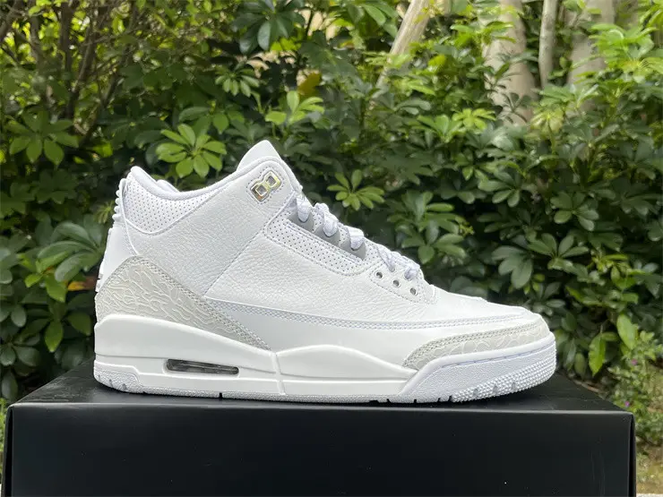 Authentic  Air Jordan 3 “Pure Money”   2025 