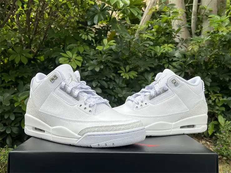 Authentic  Air Jordan 3 “Pure Money”   2025 