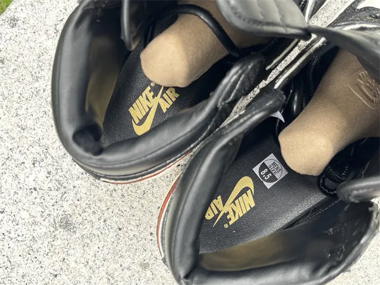 Authentic Air Jordan 1 High OG “Xuan Wu” 