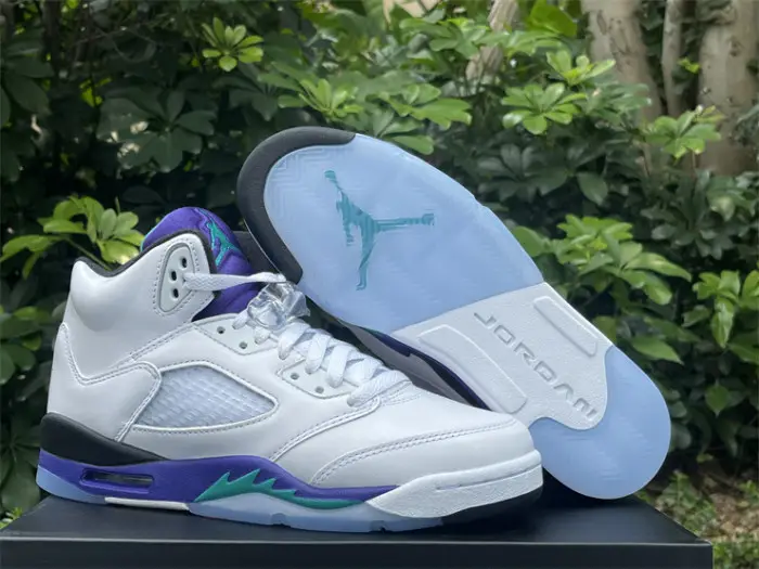 Authentic  Air Jordan 5 Retro Grape  2025 DFBED2502