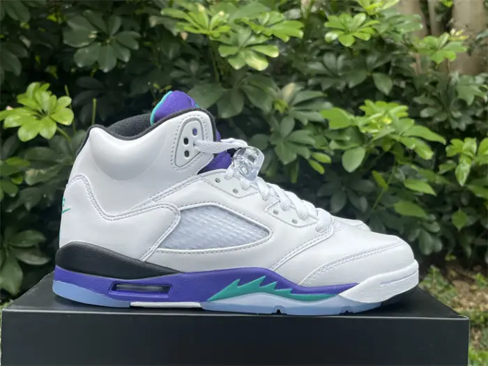 Authentic  Air Jordan 5 Retro Grape  2025 DFBED2502